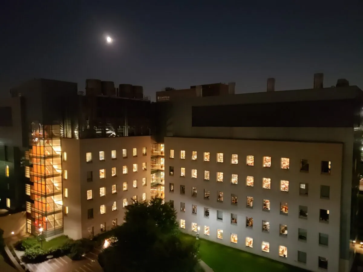 Albert Einstein College of Medicine