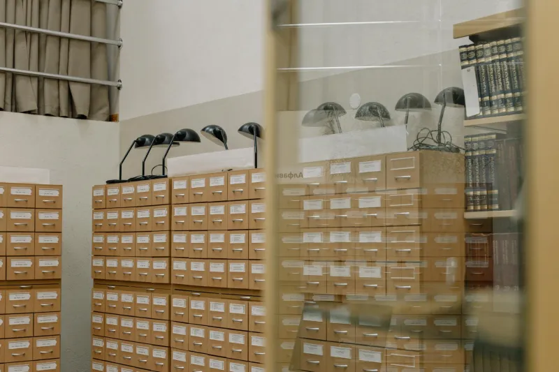 When Every American Town Had Its Own Information Headquarters: The Library Card That Ruled Before Google